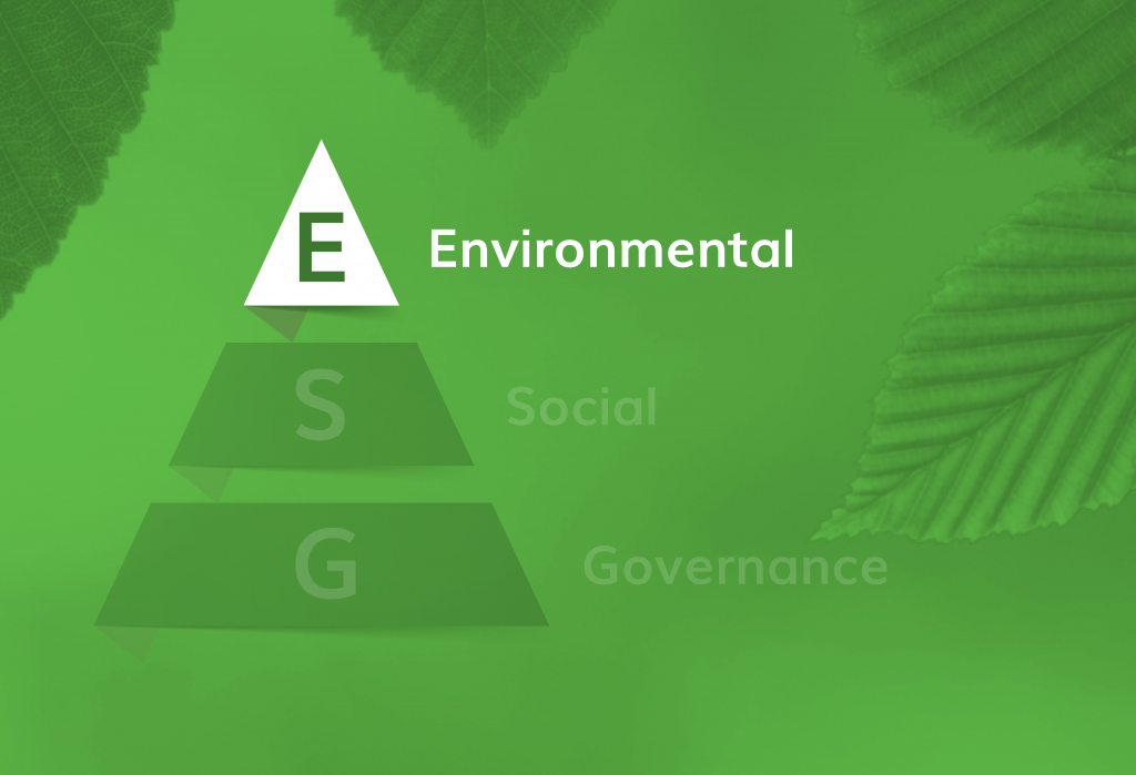 ESG Infograph E-01